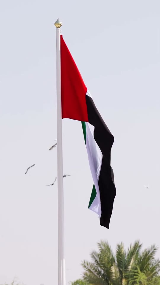 UAE — Flag Day